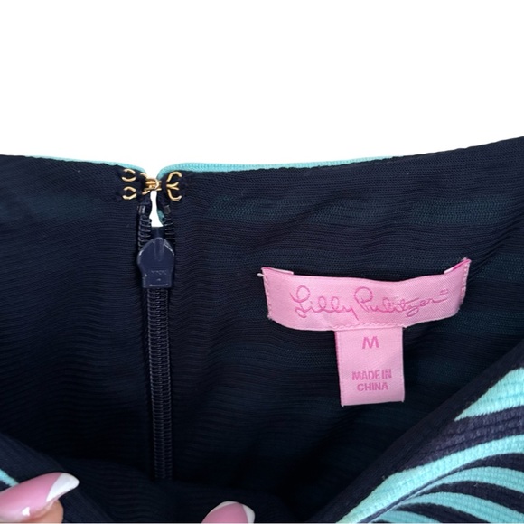 LILLY PULITZER Brielle Navy & Teal Stripe Dress M Fit & Flare Preppy - Picture 9 of 12